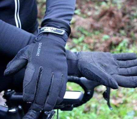 SealSkinz Dragon Eye Waterproof / Touchscreen Gloves