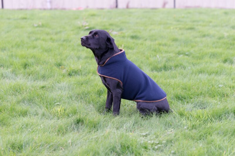 Jack Pyke Fleece Dog Coat In Navy or Green