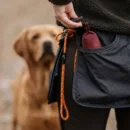 pinwood dog belt