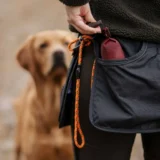pinwood dog belt
