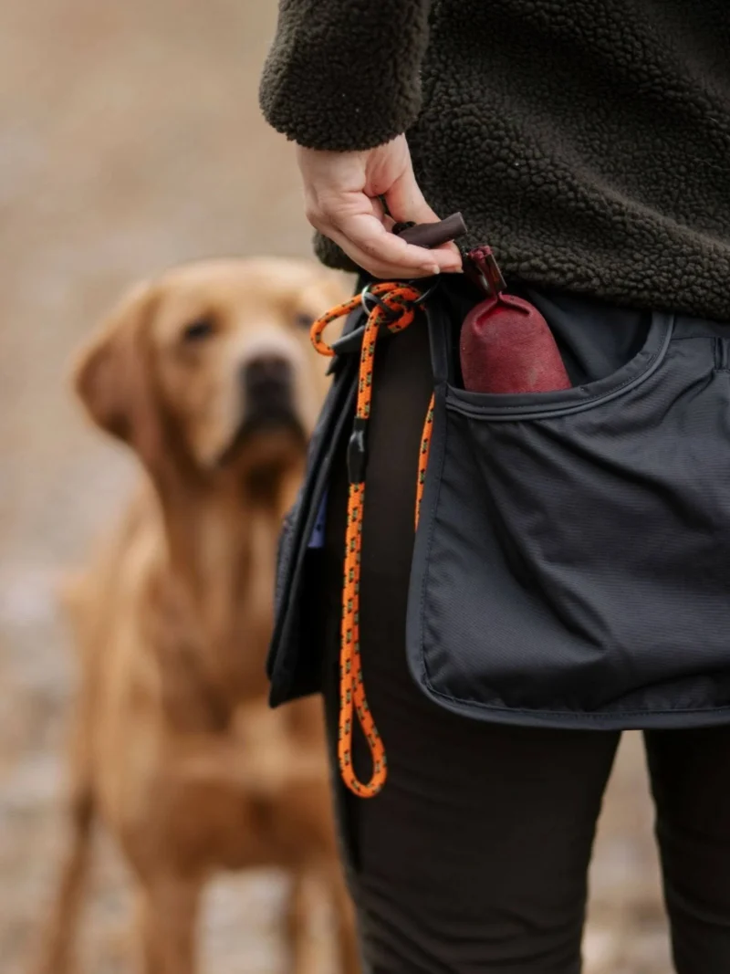 pinwood dog belt pinwood dog belt