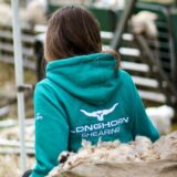 Longhorn Signature Hoodie Teal