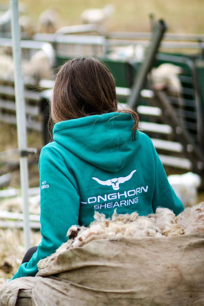 Longhorn Signature Hoodie Teal Longhorn Signature Hoodie Teal