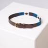 Rydale Junior Polo Belts - Askwith - Blue White Navy