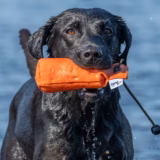 1/2lb Long Throw Canvas Gundog Training Dummy