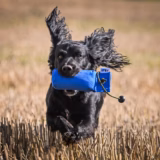 1/2lb Long Throw Canvas Gundog Training Dummy