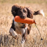 1lb Long Throw Canvas Gundog Training Dummy