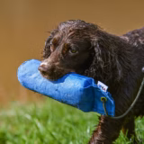 1lb Long Throw Canvas Gundog Training Dummy