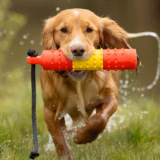 BG True Hold 2-Inch Water Dummy