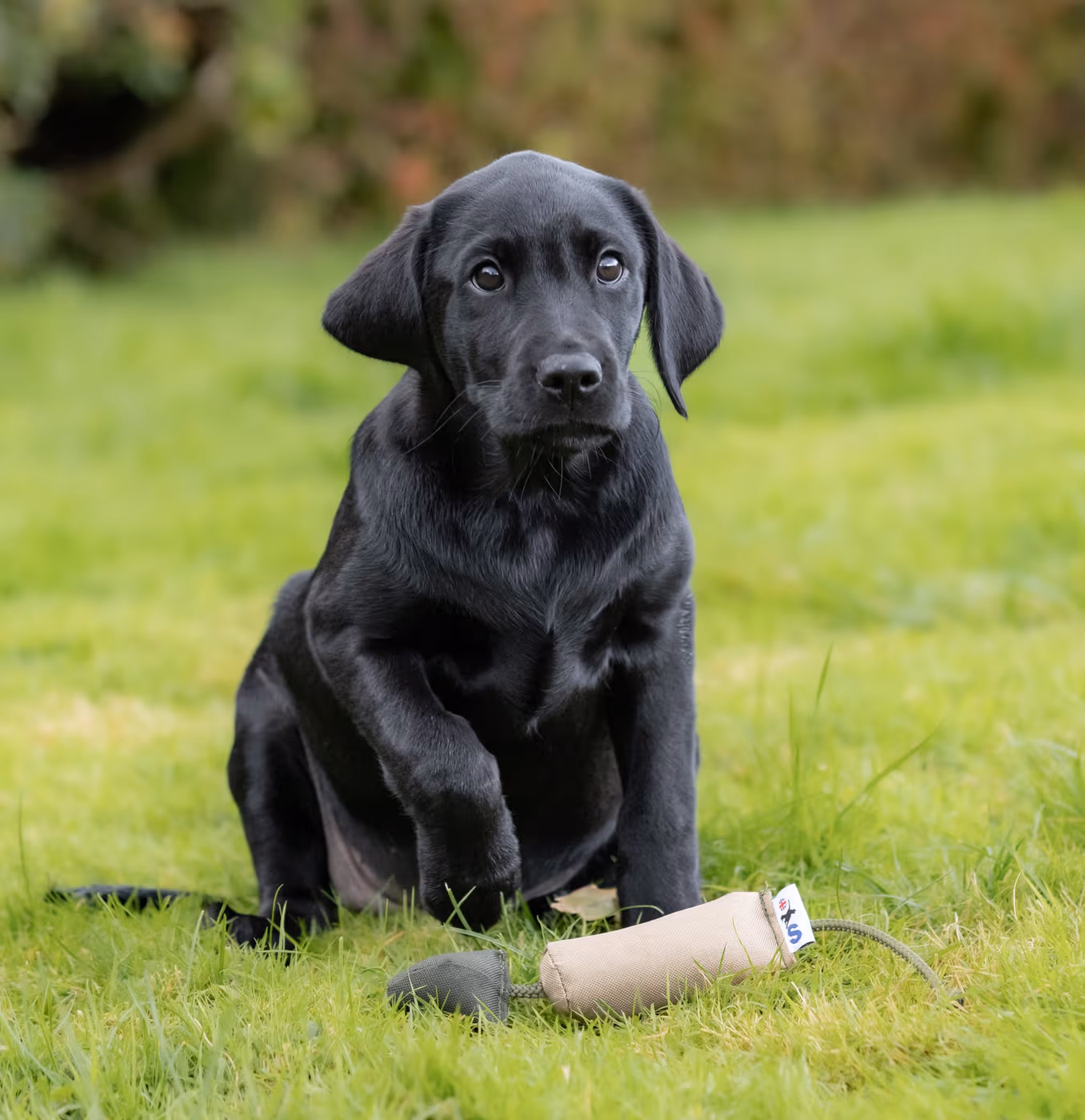 bird-dummy-small--bird-dummy-8211-small--parent-gallery-3 Small Bird Gundog Training Dummy