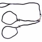 Two Dog Brace Slip Lead