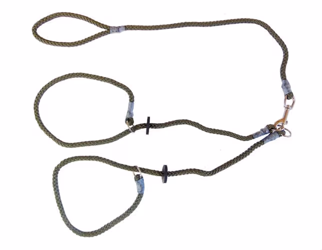 Two Dog Brace Slip Lead