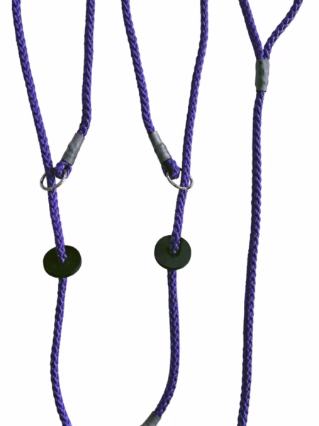 Two Dog Brace Slip Lead