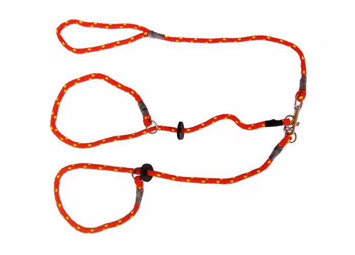 Two Dog Brace Slip Lead
