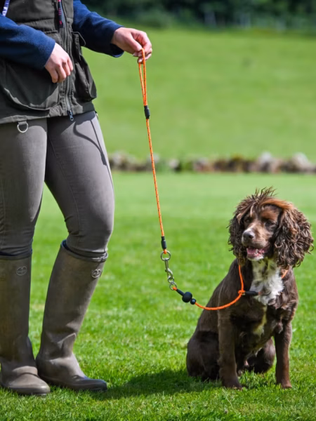 Field Trial PRO All-in-One Dog Lead