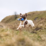 Laura Hill Mid-Sized Gundog Marking Dummy
