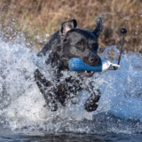 Laura Hill Mid-Sized Gundog Marking Dummy