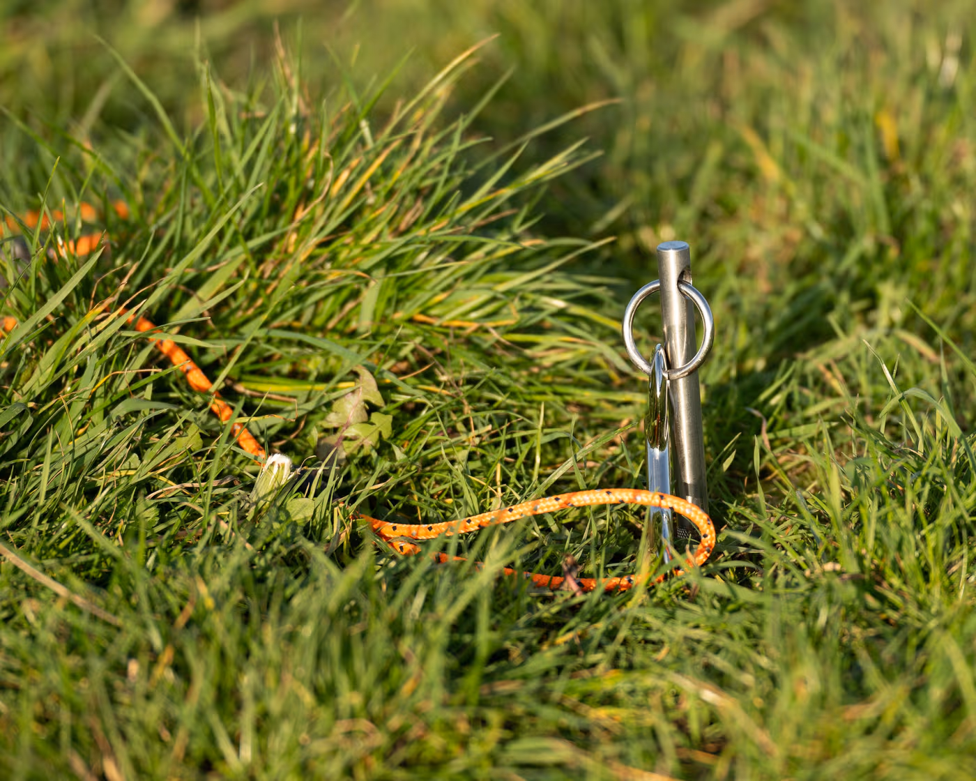folding-spike-tether--folding-spike-tether--parent-gallery-2 Folding Dog Tether Ground Spike