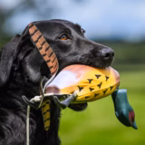 Game Bird Pheasant Gundog Training Dummy