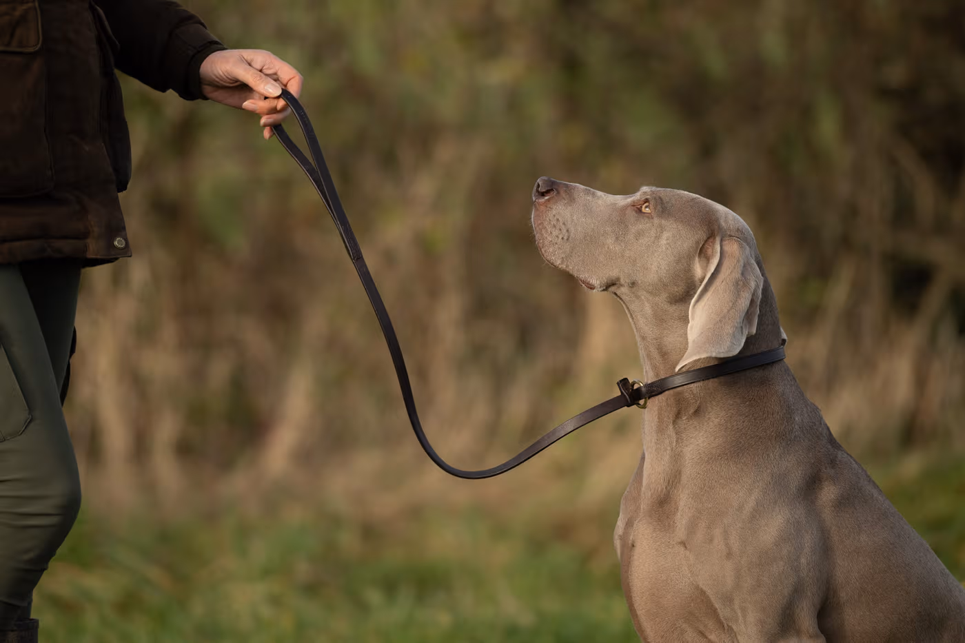 leather-leads--leather-leads--parent-gallery-2 Handmade Leather Dog Training Lead