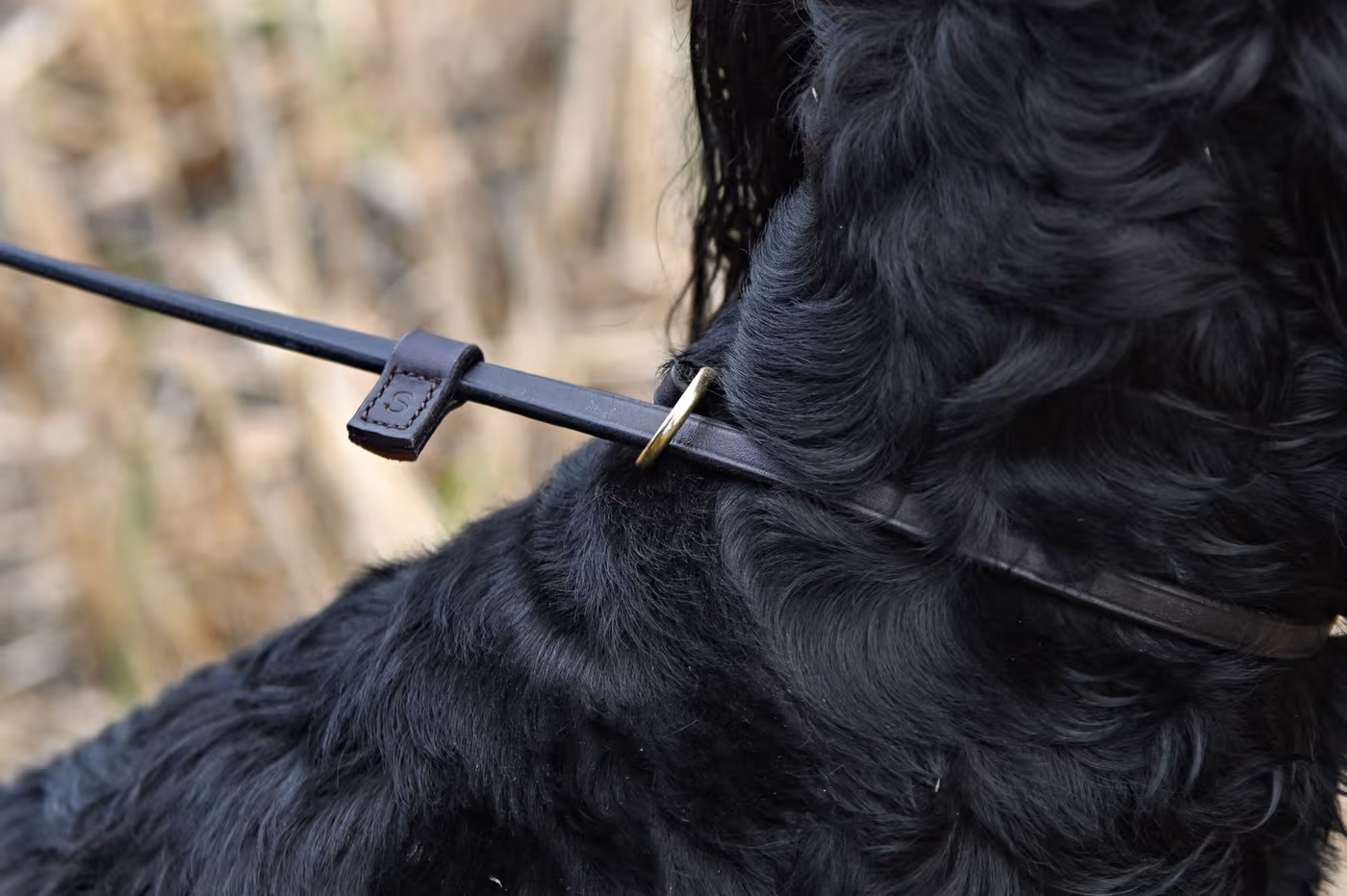 leather-leads--leather-leads--parent-gallery-3 Handmade Leather Dog Training Lead