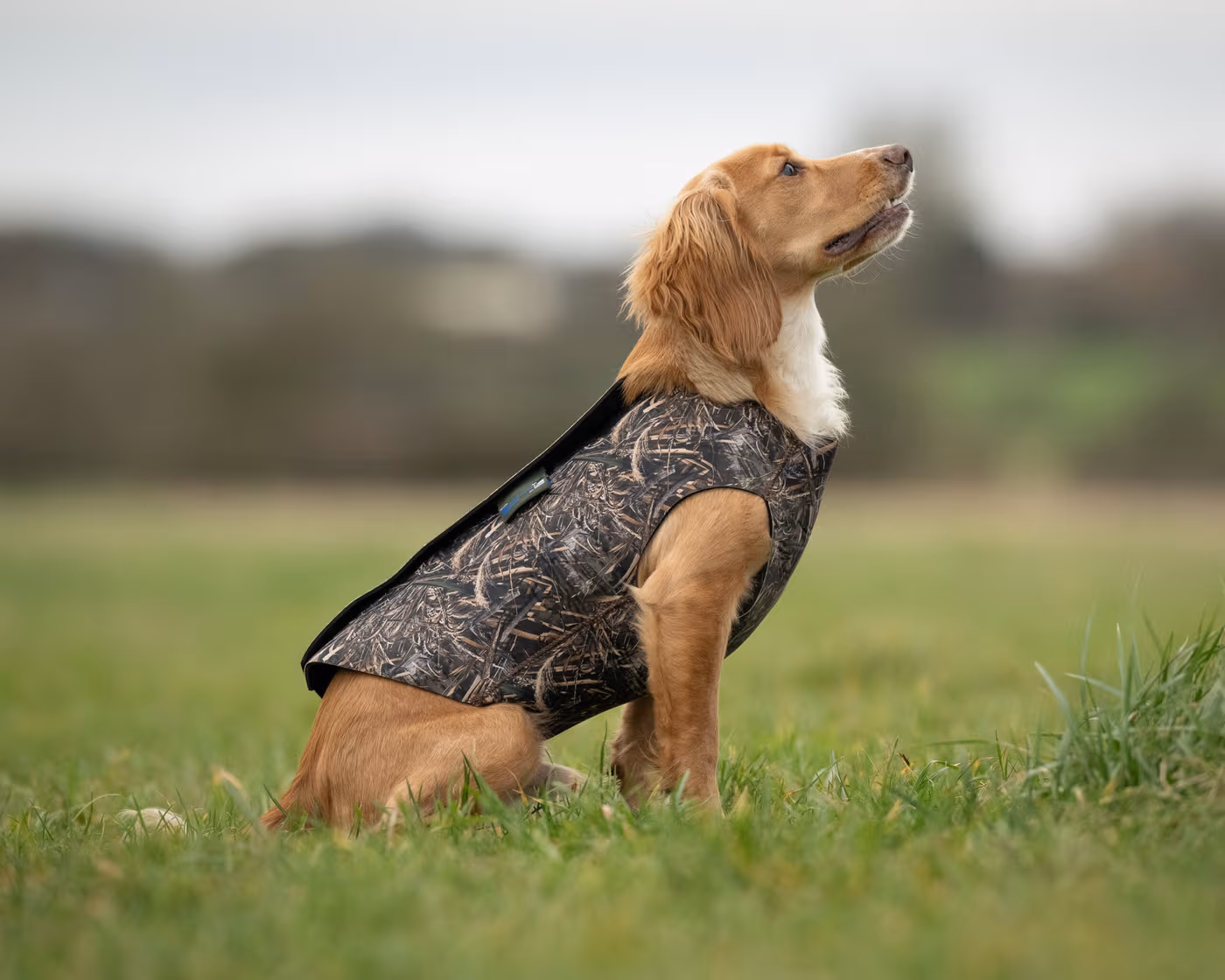 neoprene-dog-vest--neoprene-dog-vest--parent-gallery-3 Neoprene Waterproof Working Dog Vest