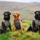 Neoprene Waterproof Working Dog Vest