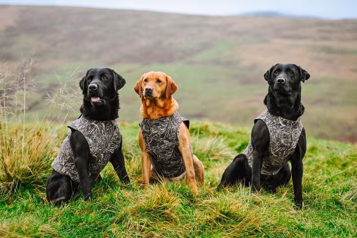 neoprene-dog-vest--neoprene-dog-vest--parent-gallery-4 Neoprene Waterproof Working Dog Vest