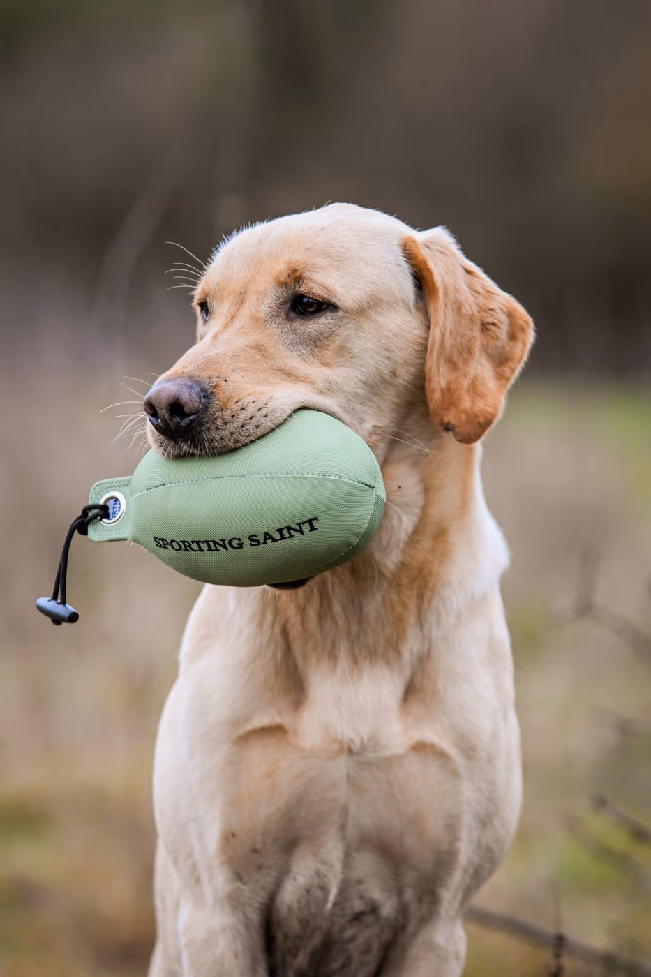retrieve-dummy--retrieve-dummy--parent-gallery-4 Game Bird Retrieve Gundog Training Dummy