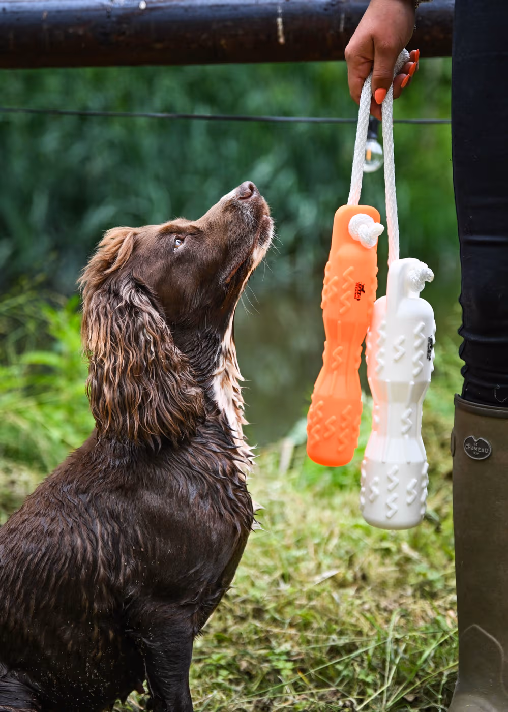 Gundog with Orange and White DT Systems GRIP-Tech training dummies Gundog with Orange and White DT Systems GRIP-Tech training dummies