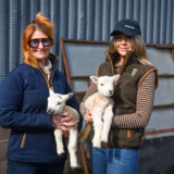 Ladies Country Fleece Gilet