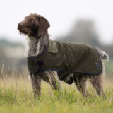 Winslow Waterproof Working Dog Coat