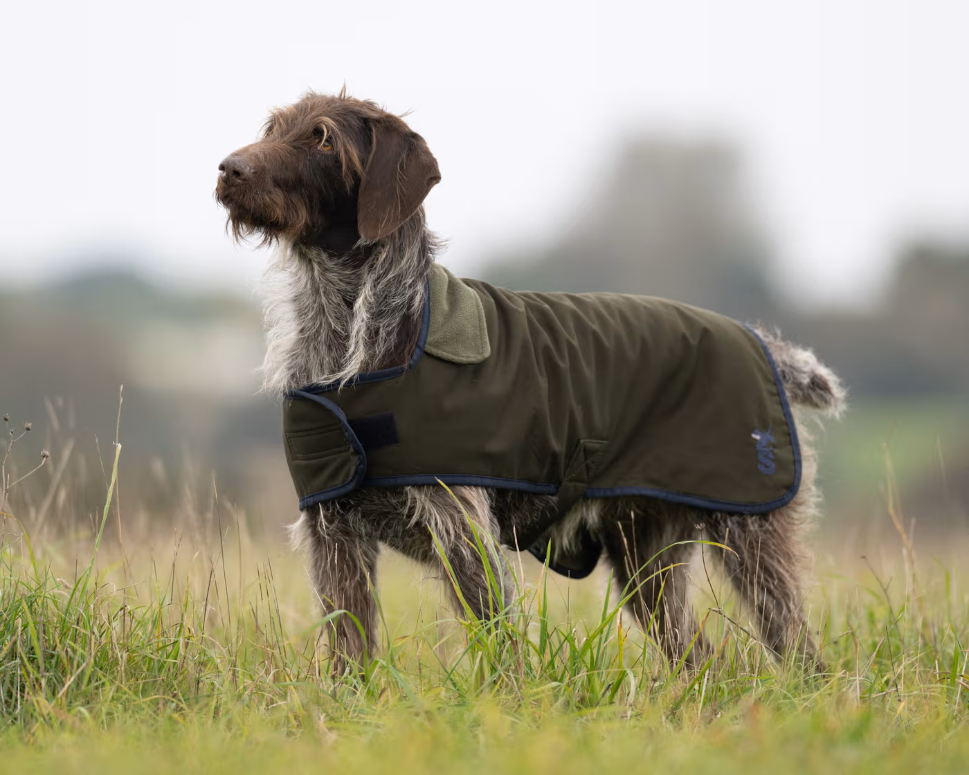 the-winslow-dog-coat-waterproof--the-winslow-dog-coat-8211-waterproof-amp-warm--parent-gallery-2 Winslow Waterproof Working Dog Coat