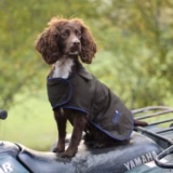 Winslow Waterproof Working Dog Coat