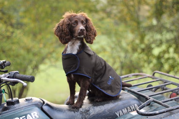 the-winslow-dog-coat-waterproof--the-winslow-dog-coat-8211-waterproof-amp-warm--parent-gallery-3 Winslow Waterproof Working Dog Coat