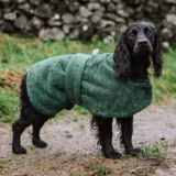 Towelling Quick-Dry Dog Coat