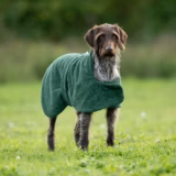 Towelling Quick-Dry Dog Coat