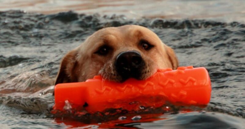 Water Dummy-Orange Water Dummy-Orange