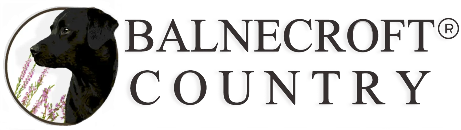 Balnecroft Logo