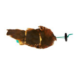 French Partridge Pelt