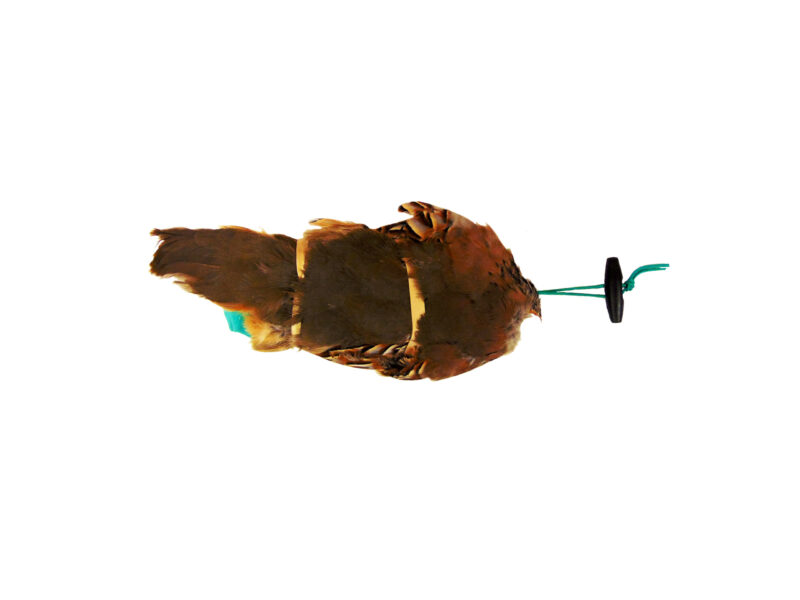 French Partridge Pelt