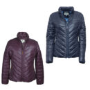 ladies wilton padded jacket