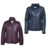 ladies wilton padded jacket